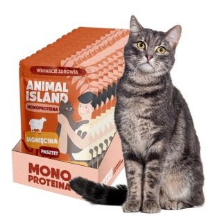 Animal Island Zestaw saszetek - karma mokra dla kota monoproteina Jagnięcina 10x100g
