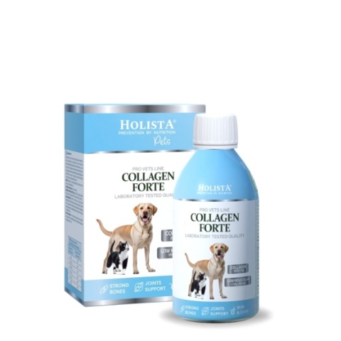 Holista Kolagen w płynie dla kota Collagen Forte 100 ml