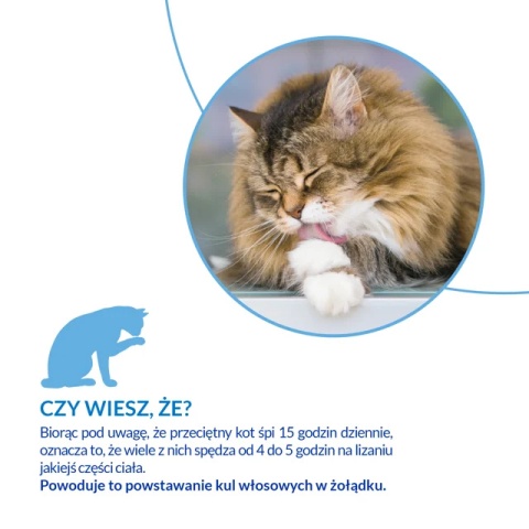 Inaba Cat Churu Hairball Salmon -przysmaki odkłaczające łosoś - 4x14g (56g)