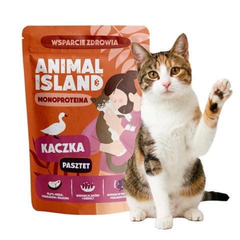 Animal Island Zestaw saszetek - karma mokra dla kota monoproteina kaczka 10x100g