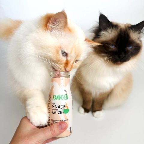 SmoothieCat królik-zupka płynna przekąska dla kota 150ml