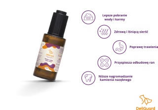 Innowacyjny Suplement dla kota DeliGuard 30 ml, 90 dni