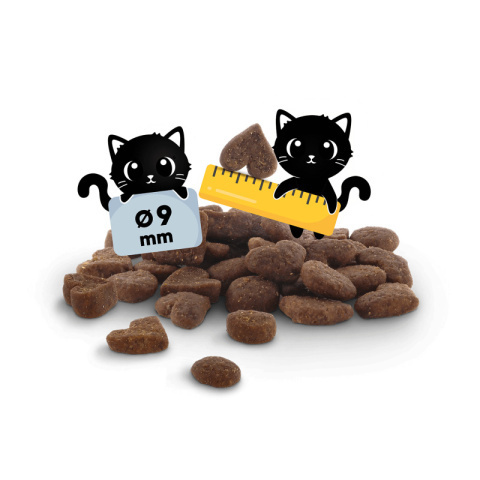 Lucky Lou Food Code Lifestage Kitten drób kurczak - karma sucha dla kociąt 340g Lucky Lou Food Code Lifestage Kitten drób kurczak - karma sucha dla kociąt 340g