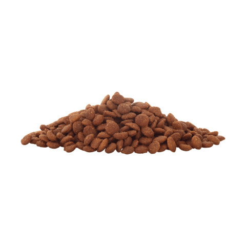 Lucky Lou Food Code Lifestage Kitten drób kurczak - karma sucha dla kociąt 340g Lucky Lou Food Code Lifestage Kitten drób kurczak - karma sucha dla kociąt 340g