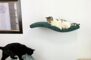 Półka ścienna dla kota, wisząca FALA SP 75 cm