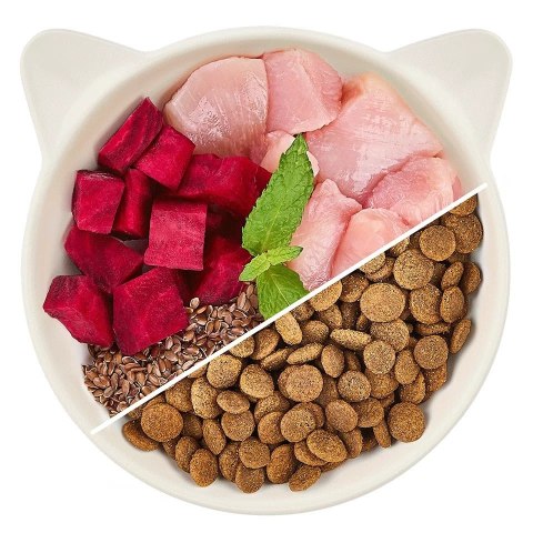 WOW CAT Huhn - karma z kurczaka dla dorosłych kotów (2kg) WOW CAT Huhn - karma z kurczaka dla dorosłych kotów (2kg)