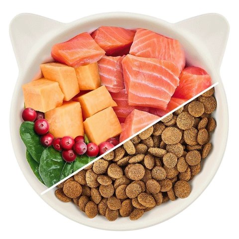 WOW CAT mit Lachs - karma z łososiem dla dorosłych kotów (2kg) WOW CAT mit Lachs - karma z łososiem dla dorosłych kotów (2kg)