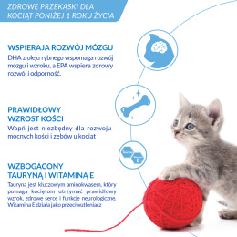 INABA CHURU Kitten Kremowe przysmaki dla kociąt z kurczakiem 4x14g