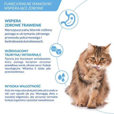 Inaba Cat Churu Hairball Tuna -przysmaki odkłaczające tuńczyk - 4x14g (56g) Inaba Cat Churu Hairball Tuna -przysmaki odkłaczające tuńczyk - 4x14g (56g)