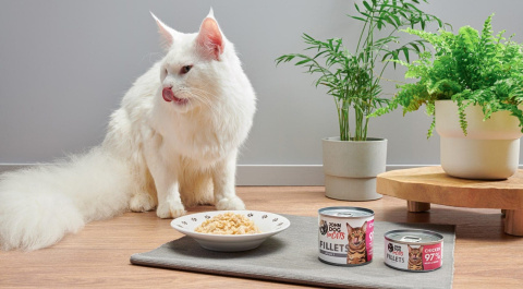 John Dog for Cats Filety Kurczak karma mokra dla kota pełnoporcjowa 140g John Dog for Cats Filety Kurczak karma mokra dla kota pełnoporcjowa 140g
