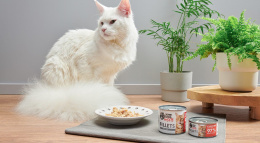 Karma mokra John Dog for Cats Filety Kurczak z wołowiną karma dla kota pełnoporcjowa 70 g