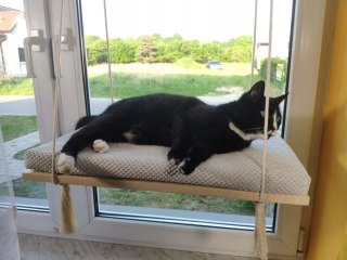 Półka okienna dla kota, wisząca PŁASKA 75 cm SH-F-75G