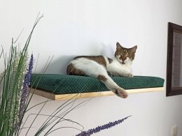Półka ścienna dla kota, wisząca PŁASKA 60 cm SH-F-60