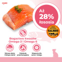 INABA CHURU Kremowe przysmaki dla kotów receptura z łososiem i kurczakiem 4x14g