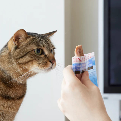 INABA CIAO Grillowany Filet z tuńczyka w bulionie z przegrzebków 25g INABA CIAO Grillowany Filet z tuńczyka w bulionie z przegrzebków 25g