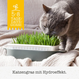 Gimpet Hydro Gras Trawa z hydrogranulkami dla kota 150g