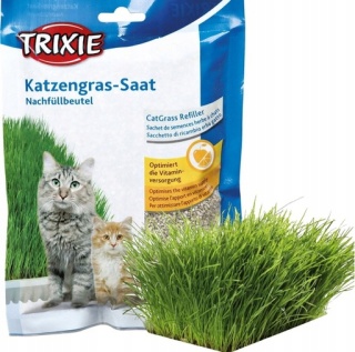 Trixie Trawa dla kota w woreczku 100g